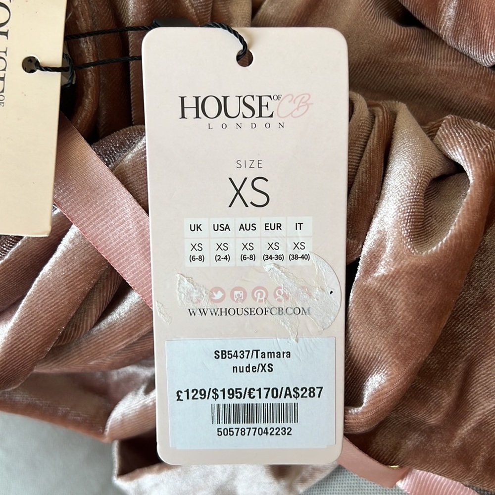 NWT HOUSE of CB TAMARA BLUSH NUDE VELVET CRYSTAL DRESS - Picture 13 of 14